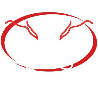 Last Monsoon